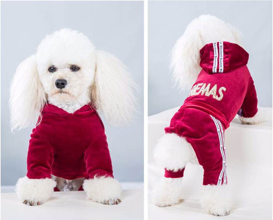 Pet Velvet Jumpsuit Athletic Hoodie with Rhinestone Design
